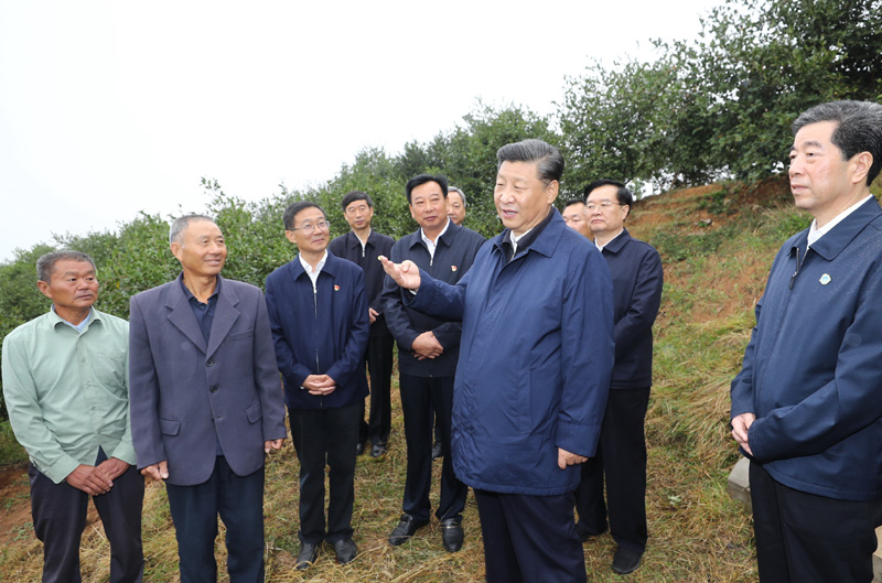 　　9月16日至18日，中共中央總書記、國(guó)家主席、中央軍委主席習(xí)近平在河南考察。這是17日上午，習(xí)近平來到信陽市光山縣槐店鄉(xiāng)司馬光油茶園，同正在勞作的村民和管理人員交流。 新華社記者 鞠鵬 攝