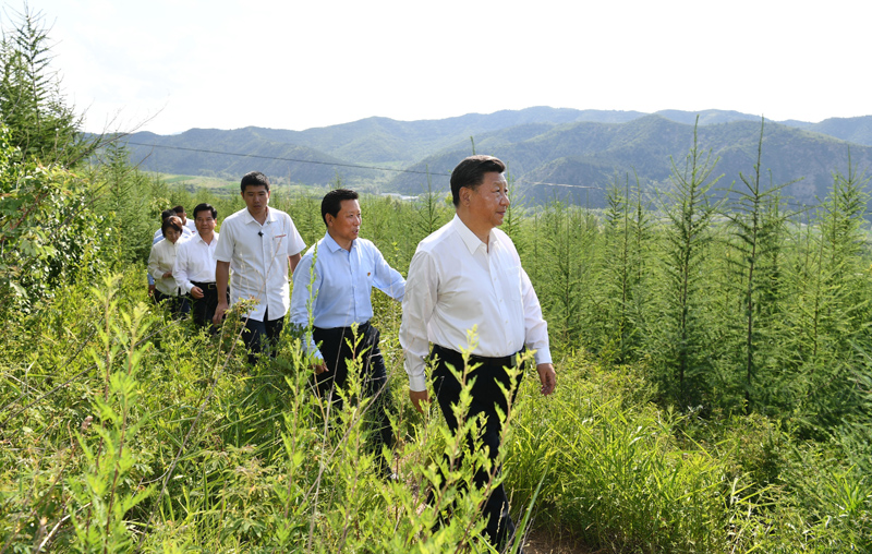 7月15日至16日，中共中央總書記、國家主席、中央軍委主席習(xí)近平在內(nèi)蒙古考察并指導(dǎo)開展“不忘初心、牢記使命”主題教育。這是15日下午，習(xí)近平在赤峰市喀喇沁旗馬鞍山林場林區(qū)，沿著崎嶇的護(hù)林小道察看林木長勢。